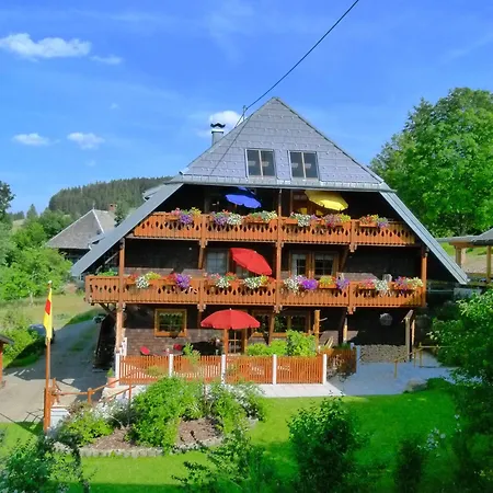 Apartment Haus Panoramablick 3 *